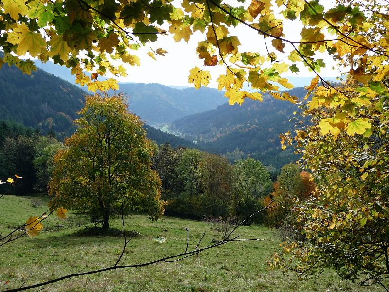 03 - Vue d'automne.jpg - JMPP du 12 octobre 2008 -